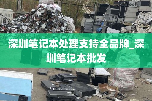 深圳笔记本处理支持全品牌_深圳笔记本批发
